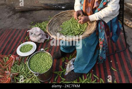 Donne che lavorano per preparare il cibo nel sito di protesta contro le nuove leggi agricole, al confine Delhi-Utttar Pradesh a Ghaziabad, India 13 gennaio 2021. La protesta dei 2020 agricoltori indiani è una protesta continua contro i tre atti agricoli approvati dal Parlamento indiano nel settembre 2020. Centinaia di migliaia di agricoltori degli stati circostanti protestano per settimane alla periferia di Delhi, bloccando le autostrade che portano alla capitale. Gli agricoltori che protestano contro leggi che deregolamentano la vendita di colture, che dicono, li metteranno a rischio di perdere i loro mezzi di sostentamento e la loro terra a BI Foto Stock