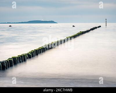 Isola di Hiddensee con palpetti di frangiflutti e lucente in acque lisce del Mar Baltico senza vento. Isola di Ruegen. Spiaggia sabbiosa con alghe, pietre Foto Stock