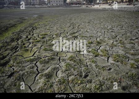 Kathmandu Metropolitan Dried Kamalpokhari stagno per la costruzione di strutture in cemento a Kathmandu, Nepal Venerdì, 15 gennaio 2021. Kamalpokhari stagno è asciugato per la costruzione di strutture in cemento intorno. Gli attivisti del patrimonio hanno messo in scena una protesta simbolica contro la costruzione di strutture concrete intorno al secolare stagno. (Foto di Narayan Maharjan/NurPhoto) Foto Stock