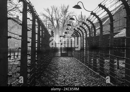 (NOTA DELL'EDITORE: L'immagine è stata convertita in bianco e nero) recinzioni a filo spinato presso l'ex campo di concentramento e sterminio nazista di Auschwitz i a Oswiecim, Polonia, il 26 gennaio 2020. (Foto di Beata Zawrzel/NurPhoto) Foto Stock