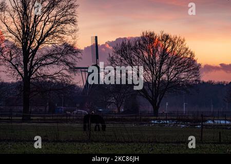 Un tradizionale mulino a vento olandese visto intorno all'ora del tramonto nel punto dolce chiamato ora magica al crepuscolo durante una fredda giornata invernale, dove il cielo chiaro e colorato si mescola con le nuvole. Il mulino a vento, un'attrazione turistica e simbolo del paese, si trova nella periferia di Veldhoven, vicino alla città di Eindhoven nella regione del Brabante Nord. Il mulino specifico è una panetteria e caffè, il Baker mulino Oerse. Veldhoven, Paesi Bassi il 25 gennaio 2021 (Foto di Nicolas Economou/NurPhoto) Foto Stock