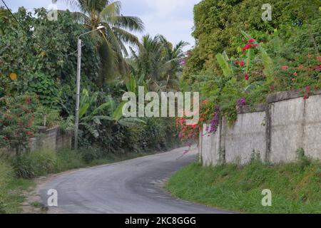 Lussureggiante strada isolana verde piena di palme tropicali, bouganville e altre piante verdi su una curva in una stretta strada sull'isola Efate vicino a Port Vila Foto Stock
