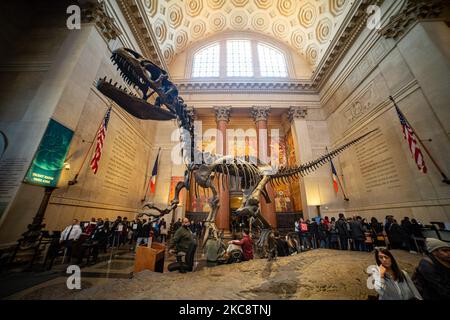 Vista grandangolare all'interno del Theodore Roosevelt Rotunda, la principale hall con biglietteria con fossili di dinosauri esposti al pubblico nell'American Museum of Natural History AMNH, situato nell'Upper West Side di Manhattan vicino a Central Park a New York City. Il museo accoglie circa 5 milioni di visitatori, turisti, locali e studenti anually. New York, Stati Uniti d'America USA il 2020 febbraio (Foto di Nicolas Economou/NurPhoto) Foto Stock