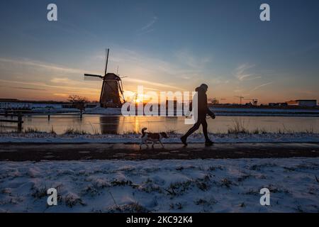 Una persona cammina un cane durante il tramonto. Una magica scriglia intorno al tramonto e crepuscolo con il cielo limpido d'inverno ai canali ghiacciati e ai mulini a vento di Kinderdijk nei Paesi Bassi. Il paese sta affrontando il clima artico, le temperature basse severe, le nevicate ed i venti alti dovuto la tempesta Darcy che ha causato i problemi nei trasporti e nella vita di tutti i giorni. Molti dei canali sono stati ghiacciati perché la temperatura è inferiore a zero a causa del clima freddo che a volte raggiunge i -16C, mentre il terreno è coperto di neve. Kinderdijk e i mulini a vento nel polder Alblasserwaard, è una famosa attrazione, un landmar olandese Foto Stock