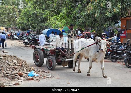 Gli uomini viaggiano in carretto bue lungo una strada nel mercato Chandni Chowk nella Vecchia Delhi, India. Chandni Chowk è il più grande mercato all'ingrosso dell'Asia. La leggenda vuole che l'imperatore Mughal Shah Jahan progettò Chandni Chowk nel 17th ° secolo in modo che sua figlia potesse acquistare per tutto ciò che voleva. Chandni Chowk, che significa piazza illuminata dalla luna o mercato rimane una delle zone più affollate, caotiche e famose della città. (Foto di Creative Touch Imaging Ltd./NurPhoto) Foto Stock