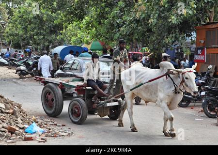 Gli uomini viaggiano in carretto bue lungo una strada nel mercato Chandni Chowk nella Vecchia Delhi, India. Chandni Chowk è il più grande mercato all'ingrosso dell'Asia. La leggenda vuole che l'imperatore Mughal Shah Jahan progettò Chandni Chowk nel 17th ° secolo in modo che sua figlia potesse acquistare per tutto ciò che voleva. Chandni Chowk, che significa piazza illuminata dalla luna o mercato rimane una delle zone più affollate, caotiche e famose della città. (Foto di Creative Touch Imaging Ltd./NurPhoto) Foto Stock