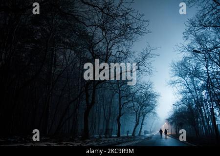 Coppia sta facendo una passeggiata al crepuscolo nel parco Borisova Gradina a Sofia, Bulgaria, il 21st 2021 febbraio. (Foto di Denislav Stoychev/NurPhoto) Foto Stock