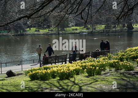 La gente passa davanti a un letto di fiori pieno di narcisi fiorenti nel St James's Park a Londra, il 26 febbraio 2021 a Londra, Inghilterra. (Foto di Wiktor Szymanowicz/NurPhoto) Foto Stock