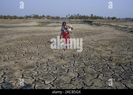 Una donna sta raccogliendo acqua potabile, effetto salinità visto nel suolo come risultato alberi è morto dopo ciclone anfano colpito a Satkhira, Bangladesh il 20 marzo 2021. Crepe profonde viste in un campo come aumento del livello del mare causa crepe profonde lasciando il sale sul terreno dopo evaporazione. Il Bangladesh è uno dei paesi più vulnerabili agli effetti del cambiamento climatico. I pericoli naturali regolari e gravi che il Bangladesh già soffre di cicloni tropicali, erosione dei fiumi, inondazioni, frane e siccità sono tutti previsti per aumentare di intensità e frequenza a causa del cambiamento climatico. Il livello del mare aumenterà Foto Stock