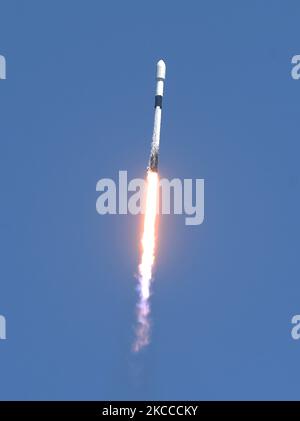 7 aprile 2021 - Cape Canaveral, Florida, Stati Uniti - Un razzo SpaceX Falcon 9 che trasporta il lotto 24th di circa 60 satelliti Starlink si solleva dal pad 40 alla Cape Canaveral Space Force Station il 7 aprile 2021 a Cape Canaveral, Florida. I satelliti fanno parte di una costellazione progettata per fornire un servizio Internet a banda larga agli utenti di tutto il mondo. (Foto di Paul Hennessy/NurPhoto) Foto Stock