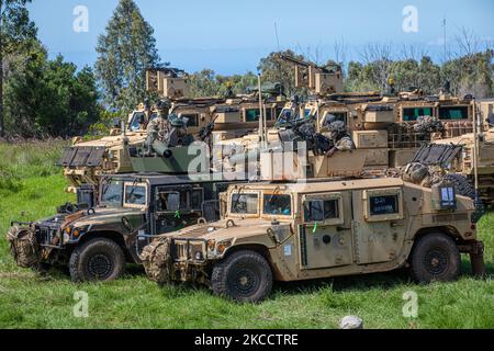 Soldati dell'esercito degli Stati Uniti da 2nd battaglione, 11th reggimento dell'artiglieria di campo, 25th divisione di fanteria, conduce le operazioni del convoglio sui campi di addestramento di Pohakuloa, Hawaii, 31 ottobre 2022. Joint Pacific Multinational Readiness Center 23-01 è una rotazione di formazione realistica ci permette di provare il movimento strategico, e addestrare in ambienti e condizioni uniche in cui è più probabile che siano impiegati in caso di crisi o di conflitto.(Stati Uniti Foto dell'esercito di PFC. Mariah Aguilar, 25th° divisione fanteria) Foto Stock