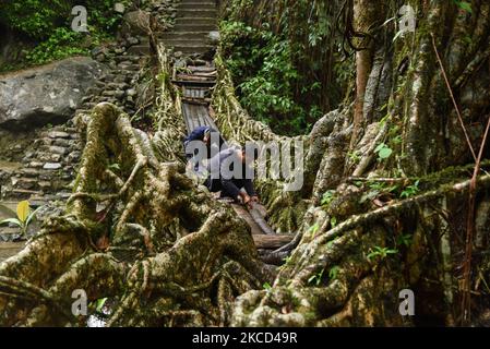 Abitanti del villaggio occupati nel lavoro di manutenzione del ponte vivente di radice di Bouble decker, nel villaggio di Nongriat nel nord-est dello stato indiano Meghalaya, il 19 aprile 2021. I ponti di radici viventi, creati dai membri della tribù Khasi che li hanno coltivati da alberi di gomma, sono nativi della regione. Il ponte di radice a due piani, è il più famoso vicino a Cherapunji. (Foto di David Talukdar/NurPhoto) Foto Stock