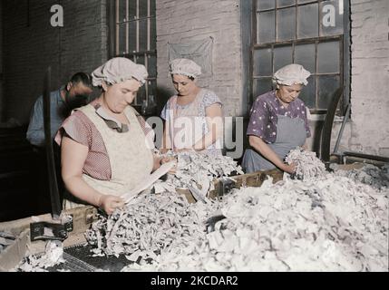 Rag la cernita presso la American carta da scrivere Co., 1936. Foto Stock