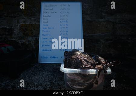 Pesce coda di rospo fresco con una tavola a prezzi di pesce vista al mercato del pesce di sabato al molo di Bunowen, ad Aillebrack. Il tradizionale mercato del pesce settimanale è diventato ormai quasi un evento mensile a causa della pandemia del Covid-19 e del maltempo. La tradizionale industria della pesca familiare nella regione è in declino da molti anni. Ma Pat Conneely e suo fratello Kevin continuano la tradizione familiare fin dalla giovane età, preservando questo importante modo di vivere. Sabato 23 aprile 2021 a Bunowen Pier, Aillebrack, Ballyconneely, Galway, Irlanda. (Foto di Artur Widak/NurPhoto) Foto Stock