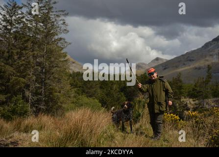 Padre Krzysztof Sikora cammina il suo cane 'Rambo' vicino alla cittadina di Barnanoraun, vicino al fiume Owenglin. Geograficamente, la parrocchia di Roundstone è considerata la più grande parrocchia d'Irlanda e si estende dalle spiagge di Gurteen ai Monti Twelve Bens e Mám Tuirc. Fino agli anni '1990s la parrocchia era servita da tre sacerdoti, ora CE n'è una sola che si occupa di cinque chiese. L'attuale Parroco, padre Krzysztof Sikora, nato in Polonia, è membro della congregazione religiosa dei Missionari del Verbo Divino. Dopo anni di lavoro missionario nelle Filippine, in Germania e in Polonia, si stabilì in Irlanda Foto Stock