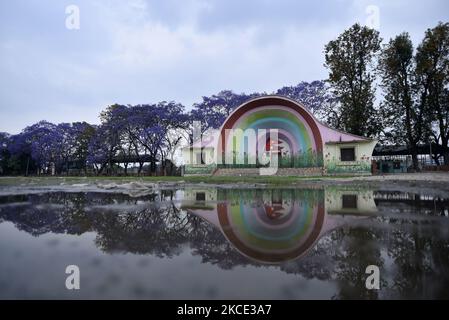 Una vista di Khula Manch con i fiori Jacaranda fiorire, stagione di primavera accogliente a Kathmandu, Nepal Giovedi, 06 maggio 2021. (Foto di Narayan Maharjan/NurPhoto) Foto Stock