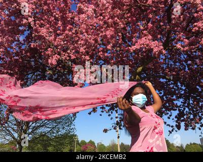 Donna che indossa una maschera facciale per proteggerla dal nuovo coronavirus (COVID-19) da alberi di ananas coperto di fiori rosa durante la stagione primaverile a Toronto, Ontario, Canada il 14 maggio 2021. (Foto di Creative Touch Imaging Ltd./NurPhoto) Foto Stock