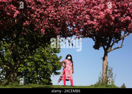 Donna che indossa una maschera facciale per proteggerla dal nuovo coronavirus (COVID-19) da alberi di ananas coperto di fiori rosa durante la stagione primaverile a Toronto, Ontario, Canada il 14 maggio 2021. (Foto di Creative Touch Imaging Ltd./NurPhoto) Foto Stock