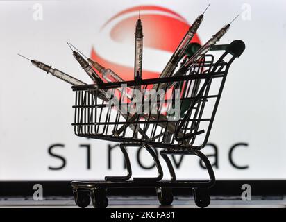 Le siringhe mediche nel mini carrello sono visibili davanti al logo Sinovac visualizzato su uno schermo. Venerdì 28 maggio 2021 a Dublino, Irlanda. (Foto di Artur Widak/NurPhoto) Foto Stock