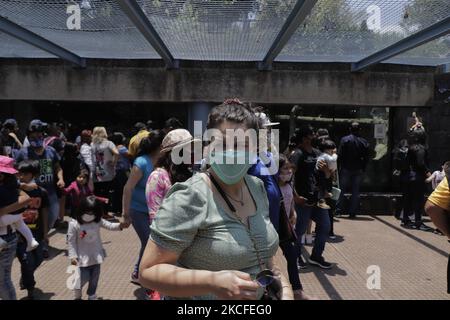 I visitatori dello zoo Chapultepec di Città del Messico, durante l'emergenza sanitaria COVID-19 e il semaforo epidemiologico giallo nella capitale. (Foto di Gerardo Vieyra/NurPhoto) Foto Stock