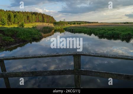 Vista generale del fiume Lyna si vede vicino Zabie, Polonia il 5 giugno 2021 Lyna è un fiume che inizia nella Voivodato Warmian-Masurian della Polonia settentrionale e termina nell'Oblast di Kaliningrad. (Foto di Michal Fludra/NurPhoto) Foto Stock