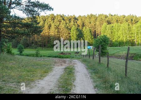 Vista generale dei campi e dei prati sulla riva del fiume Lyna con filo spinato in primo piano si vede vicino Zabie, Polonia il 5 giugno 2021 Lyna è un fiume che inizia nella Voivodato Warmian-Masurian della Polonia settentrionale e termina nell'Oblast di Kaliningrad in Russia. (Foto di Michal Fludra/NurPhoto) Foto Stock