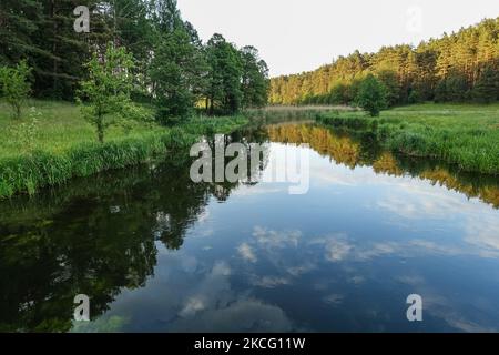 Vista generale del fiume Lyna si vede vicino Zabie, Polonia il 5 giugno 2021 Lyna è un fiume che inizia nella Voivodato Warmian-Masurian della Polonia settentrionale e termina nell'Oblast di Kaliningrad. (Foto di Michal Fludra/NurPhoto) Foto Stock