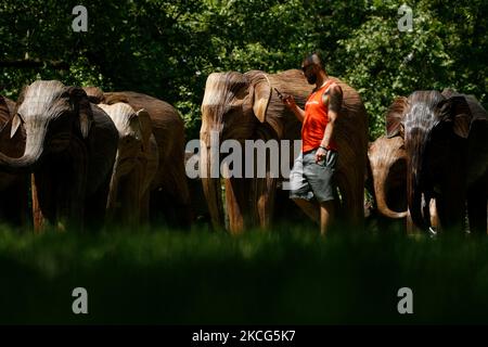 Un uomo passa accanto a sculture a grandezza naturale di un gregge di elefanti asiatici in mostra a Green Park a Londra, Inghilterra, il 16 giugno 2021. Le sculture, destinate a evidenziare la coesistenza uomo-fauna selvatica e l'importanza di proteggere la biodiversità, sono state realizzate dalle vigne di lantana camara da comunità indigene nella regione del Tamil Nadu, nell'India meridionale, che vivono la loro vita quotidiana accanto agli elefanti. L'installazione fa parte del cosiddetto progetto di coesistenza, gestito congiuntamente dalle associazioni di beneficenza, la famiglia degli Elefanti e il collettivo degli Elefanti reali. (Foto di David Cliff/NurPhoto) Foto Stock