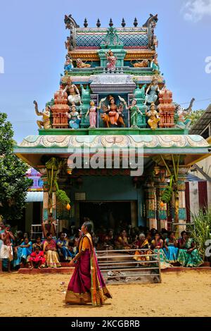 I devoti indù del Tamil celebrano il Festival Amman Ther Thiruvizha al Tempio di Tellipalai Amman a Tellipalai, provincia settentrionale, Sri Lanka. (Foto di Creative Touch Imaging Ltd./NurPhoto) Foto Stock