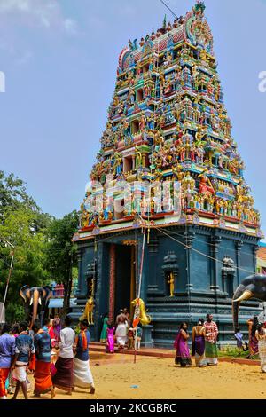 I devoti indù del Tamil celebrano il Festival Amman Ther Thiruvizha al Tempio di Tellipalai Amman a Tellipalai, provincia settentrionale, Sri Lanka. (Foto di Creative Touch Imaging Ltd./NurPhoto) Foto Stock