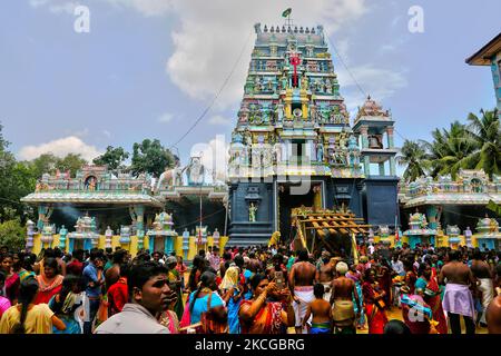 I devoti indù del Tamil celebrano il Festival Amman Ther Thiruvizha al Tempio di Tellipalai Amman a Tellipalai, provincia settentrionale, Sri Lanka. (Foto di Creative Touch Imaging Ltd./NurPhoto) Foto Stock