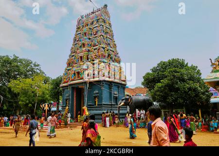 I devoti indù del Tamil celebrano il Festival Amman Ther Thiruvizha al Tempio di Tellipalai Amman a Tellipalai, provincia settentrionale, Sri Lanka. (Foto di Creative Touch Imaging Ltd./NurPhoto) Foto Stock