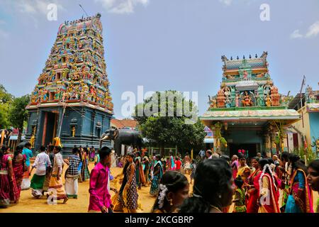 I devoti indù del Tamil celebrano il Festival Amman Ther Thiruvizha al Tempio di Tellipalai Amman a Tellipalai, provincia settentrionale, Sri Lanka. (Foto di Creative Touch Imaging Ltd./NurPhoto) Foto Stock