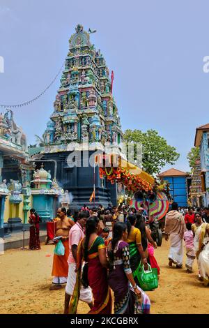 I devoti indù del Tamil celebrano il Festival Amman Ther Thiruvizha al Tempio di Tellipalai Amman a Tellipalai, provincia settentrionale, Sri Lanka. (Foto di Creative Touch Imaging Ltd./NurPhoto) Foto Stock