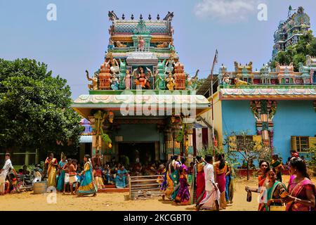 I devoti indù del Tamil celebrano il Festival Amman Ther Thiruvizha al Tempio di Tellipalai Amman a Tellipalai, provincia settentrionale, Sri Lanka. (Foto di Creative Touch Imaging Ltd./NurPhoto) Foto Stock