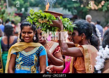 I devoti indù del Tamil celebrano il Festival Amman Ther Thiruvizha al Tempio di Tellipalai Amman a Tellipalai, provincia settentrionale, Sri Lanka. (Foto di Creative Touch Imaging Ltd./NurPhoto) Foto Stock