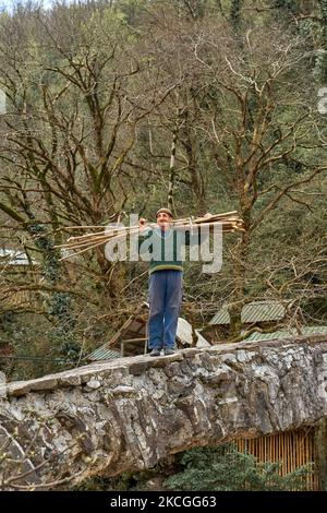 Un uomo vecchio sta preparando legna da ardere nelle montagne della Georgia. Un uomo porta un'armatura di legna da ardere sulla spalla lungo un antico ponte di pietra di fronte Foto Stock