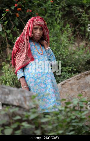 Gaddi donna in un remoto villaggio di montagna in Himachal Pradesh, India. (Foto di Creative Touch Imaging Ltd./NurPhoto) Foto Stock