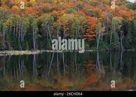 I colori della stagione autunnale si riflettono in un piccolo lago rurale a Bancroft, Ontario, Canada. Il 26 settembre 2010. (Foto di Creative Touch Imaging Ltd./NurPhoto) Foto Stock