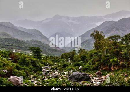Paesaggio montano drappeggiato nella nebbia durante la stagione monsonica a Dharmashala, Himachal Pradesh, India, il 06 luglio 2010. (Foto di Creative Touch Imaging Ltd./NurPhoto) Foto Stock