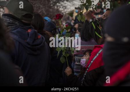 Una ragazza tiene una rosa nel mezzo dei funerali di Luisa Toledo Sepulveda, madre dei fratelli Rafael(18) e Eduardo Vergara Toledo(19). Assassinato dalla polizia di carabineros de Chile, durante la dittatura civile-militare di Augusto Pinochet. Ha dedicato la sua vita a combattere per la giustizia per i suoi bambini. Per questo motivo è considerata popolarmente madre delle persone che combattono e di tutti i giovani combattenti. Il 7 luglio 2021 a Santiago del Cile. (Foto di Claudio Abarca Sandoval/NurPhoto) Foto Stock