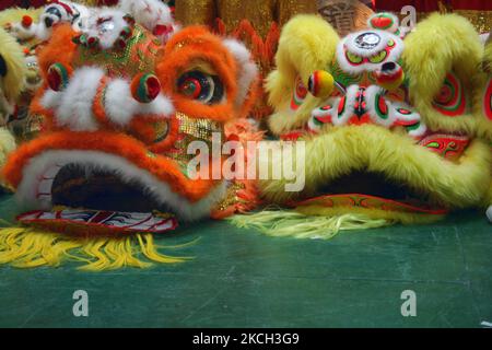 Costumi colorati di danza del leone durante il Capodanno lunare cinese a Markham, Ontario, Canada, il 31 gennaio 2009. (Foto di Creative Touch Imaging Ltd./NurPhoto) Foto Stock