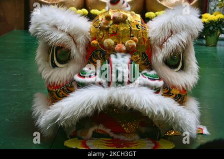 Maschera leone durante il Capodanno lunare cinese a Markham, Ontario, Canada, il 10 febbraio 2008. (Foto di Creative Touch Imaging Ltd./NurPhoto) Foto Stock