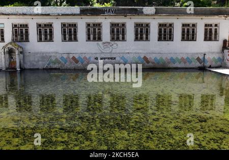 La sorgente spaventata al complesso del tempio di Nagbal ad Anantnag, Kashmir, India, il 27 giugno 2010. L'intero complesso è conosciuto popolarmente come Nagbal ed è famoso centro religioso indù nel distretto di Anantnag. La sorgente Santa che da qui proviene e la cui formazione è attribuita a Vishno o Narayana si dice sia una 'tirata' vedica. La sorgente sorge splendidamente ai piedi di una piccola collina ed è dedicata al culto di Ananta o Vishno. (Foto di Creative Touch Imaging Ltd./NurPhoto) Foto Stock