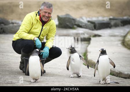 FOTO DEL FILE datata 03/05/21 del leader liberaldemocratico scozzese Willie Rennie che gioca con un gruppo di pinguini allo Zoo di Edimburgo il 3 maggio 2021 a Edimburgo, Scozia. Willie Rennie ha annunciato che si leverà in piedi giù come capo dei liberaldemocratici scozzesi dopo aver servito nella posizione per oltre dieci anni. (Foto di Ewan Bootman/NurPhoto) Foto Stock