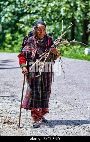 La donna Hindu Thakur in fineria tradizionale porta un fascio di bastoni nel remoto villaggio di montagna di Broat in Himachal Pradesh, India, il 04 luglio 2010. (Foto di Creative Touch Imaging Ltd./NurPhoto) Foto Stock