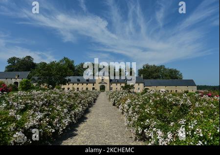 Giardini dell'abbazia di Saint Martin de Mondaye. Lunedì 19 luglio 2021, a Juaye-Mondaye, Calvados, Normandia, Francia. (Foto di Artur Widak/NurPhoto) Foto Stock