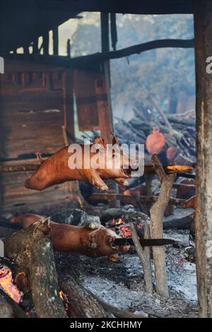 Maiali arrostiti al di fuori della città di Santiago, Repubblica Dominicana, il 23 dicembre 2011. Questi maiali saranno venduti alle famiglie per le tradizionali cene di Natale. Il maiale arrosto è tradizionalmente consumato dalla maggior parte delle famiglie della Repubblica Dominicana per cena durante la vigilia di Natale, soprattutto nelle zone rurali. (Foto di Creative Touch Imaging Ltd./NurPhoto) Foto Stock