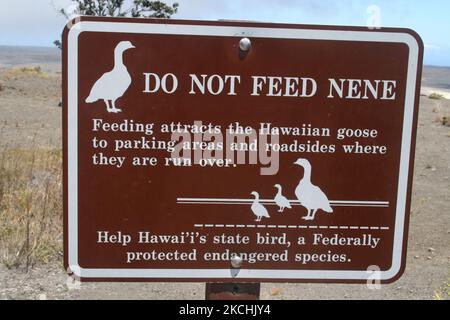 Cartello che dice di non nutrire il Nene (Branta sandvicensis) a Kona, Hawaii, USA. Il nene è un'oca hawaiana in via di estinzione trovata solo nelle Hawaii. (Foto di Creative Touch Imaging Ltd./NurPhoto) Foto Stock