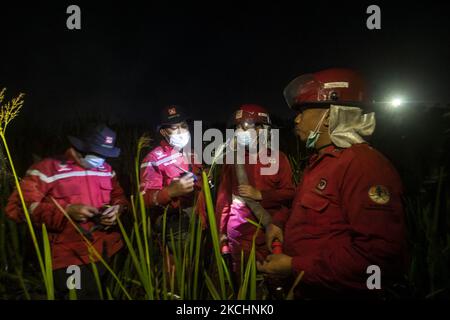 Ufficiali di Manggala Agni Daops Banyuasin estinguono gli incendi di terreni agricoli nel villaggio di Ibul 1, distretto di Pemulutan, reggenza di Ogan Ilir, domenica 25 luglio, 2021. Questo fuoco di terra si è verificato a 10:00 pm. (Foto di Sigit Prasetya/NurPhoto) Foto Stock